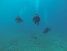 Hawaii Scuba diving 21