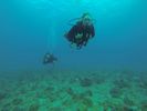 Hawaii Scuba diving 30