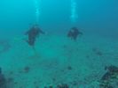 Hawaii Scuba diving 37
