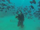 Hawaii Scuba diving 11