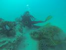 Hawaii Scuba diving 24