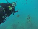 Hawaii Scuba diving 44