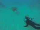 Hawaii Scuba diving 49