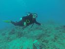 Hawaii Scuba diving 51