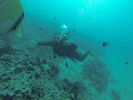 Hawaii Scuba diving 57