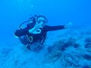 Hawaii Scuba diving 68