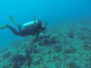 Hawaii Scuba diving 72