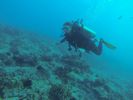 Hawaii Scuba diving 74
