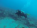 Hawaii Scuba diving 75