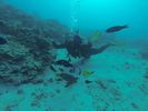 Hawaii Scuba diving 76