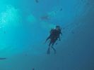 Hawaii Scuba diving 18
