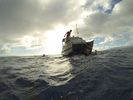 Hawaii Scuba diving 20