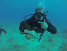 Hawaii Scuba diving 35