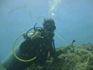 Hawaii Scuba diving 01
