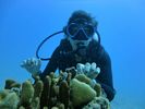 Hawaii Scuba diving 30