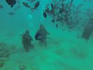 Hawaii Scuba diving 35