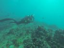 Hawaii Scuba diving 38