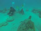 Hawaii Scuba diving 56