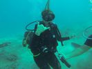 Hawaii Scuba diving 62