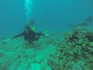 Hawaii Scuba diving 63