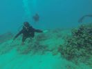Hawaii Scuba diving 64