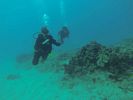 Hawaii Scuba diving 65