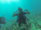 Hawaii Scuba diving 71