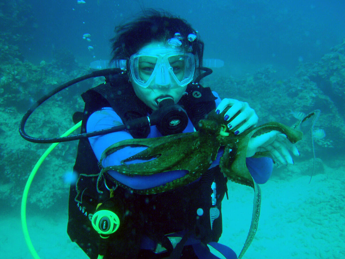 Hawaii Scuba Diving Services, Boat Charter Schedule