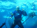 PADI open water certification in Hawaii