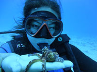 Waikiki Scuba Diving