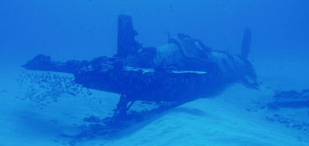 Corsair Airplane Wreck Oahu, Hawaii