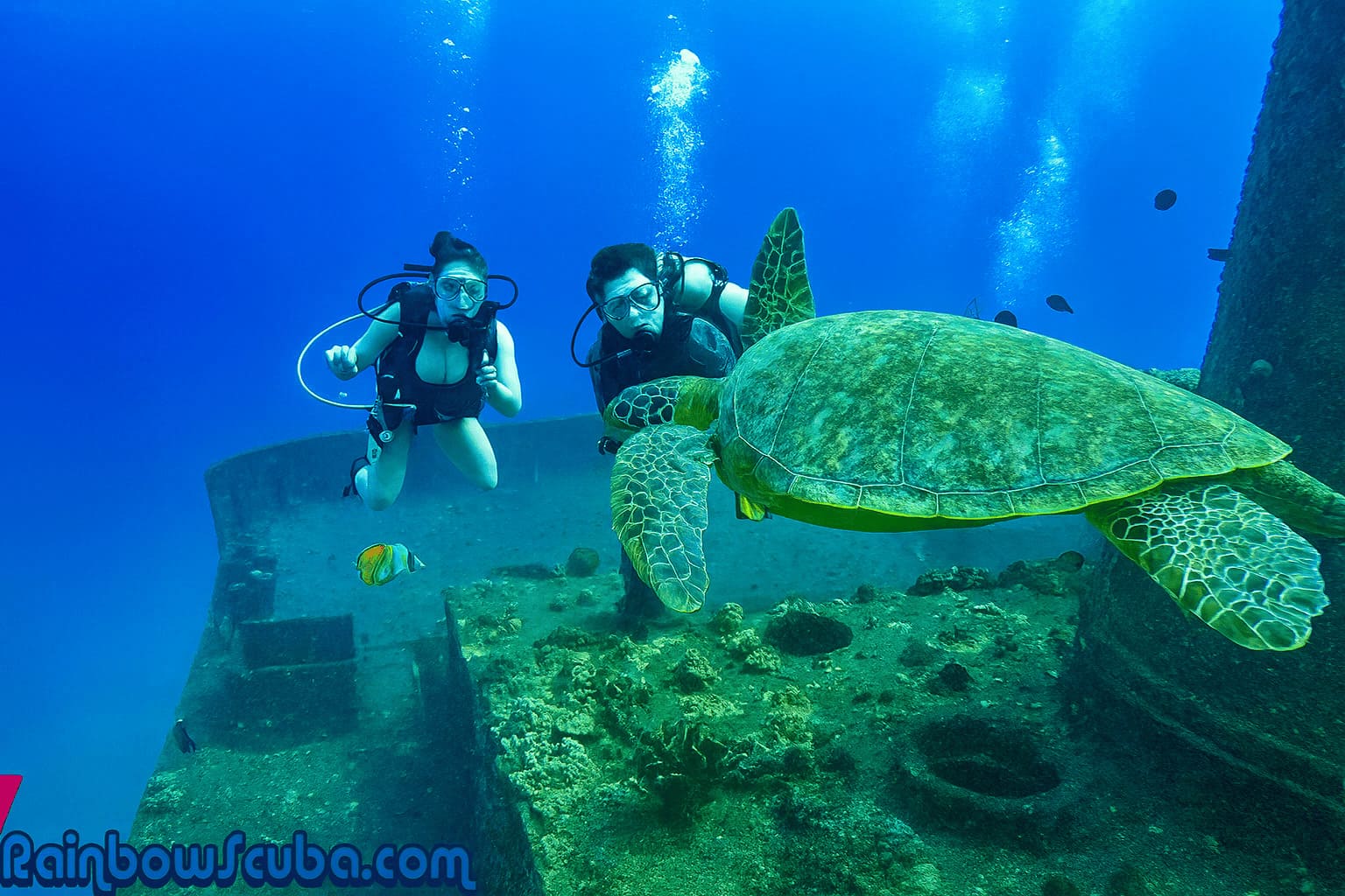 Scuba diver hovering over coral reef in Honolulu with a camera housing