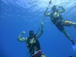 Hawaii Scuba divng 34