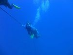 Hawaii Scuba divng 30