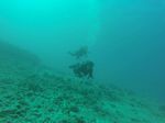 Hawaii Scuba divng 90