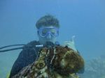 Hawaii Scuba divng 43