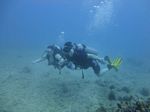 Hawaii Scuba divng 12