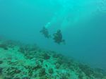 Hawaii Scuba divng 62