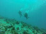 Hawaii Scuba divng 63