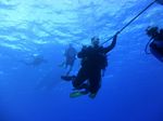 Hawaii Scuba divng 38