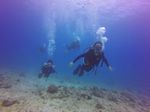 Hawaii Scuba divng 24