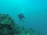 Hawaii Scuba divng 28