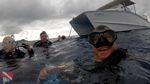 dive-charter 02-06-2020