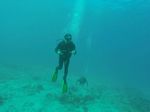 Hawaii Scuba divng 18