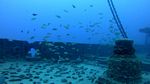 Sea Tiger shipwreck 19