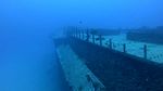 Sea Tiger shipwreck 31