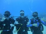 Oahu Diving 10