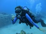 Oahu Diving 13