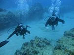 Oahu Diving 14