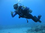 Oahu Diving 15